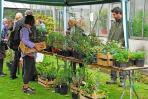 2022 plant sale @ Clotworthy House, Antrim Castle Gardens