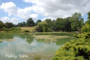 "The Gardens of Scotland" - with Colin Wren @ National Botanic Gardens