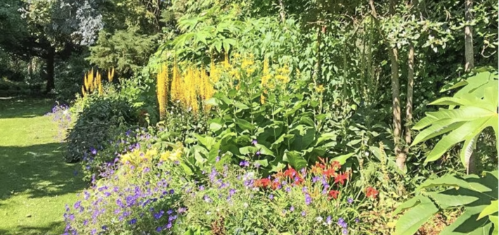 Grey Abbey House and Gardens