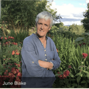 Creating Magic in my Garden with June Blake @ Malone House