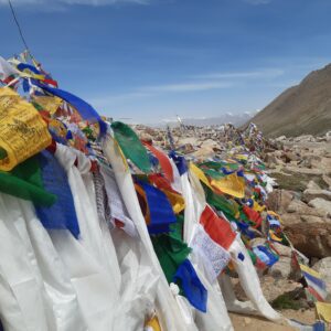 A Summer Visit to the Deserts of Ladakh with Seamus O’Brien @ National Botanic Gardens, Glasnevin