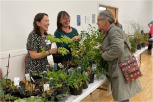 Plant Sale, Blackrock Dublin @ Guardian Angel Pastoral Centre