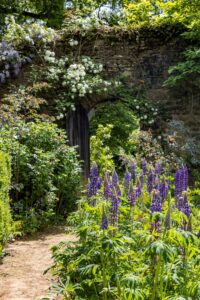Caroline Ikin Zoom Lecture: Gertrude Jekyll and Munstead Wood: the home of the ‘artist-gardener’ @ Zoom Lecture