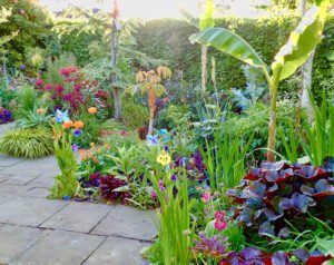 “Happy Plants” Story of Ardán, Design and Planting @ National Botanic Gardens, Glasnevin, Dublin 9. D09 VY63