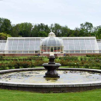 The fountain in the formal rose garden