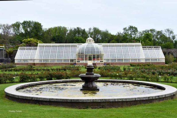 The fountain in the formal rose garden