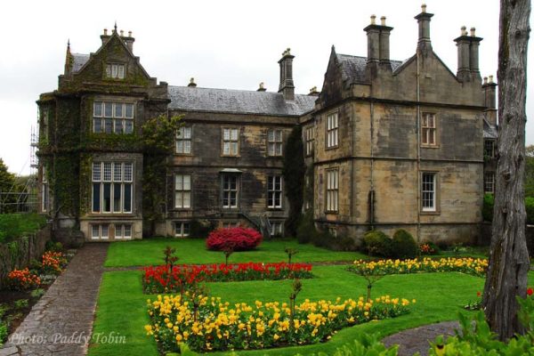 AGM 2013 Muckross Gardens, Killarney (6)