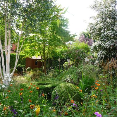 Adrian Walsh's garden