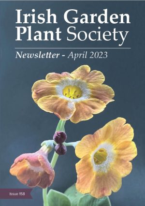 April 2023 Newsletter