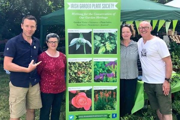BLARNEY IN BLOOM 2017