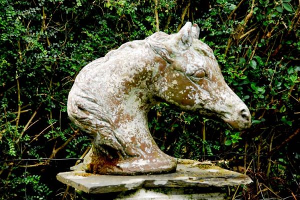 Barrack-Garden-Hillsborough-May-2012-14