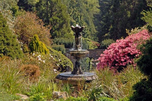 Castlewellan Arboretum 1