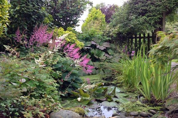 Doreen Wilson July 2017 (3)