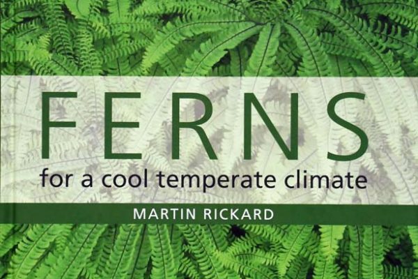 Ferns Martin Rickard (1)