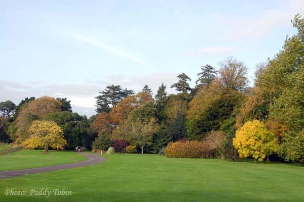 Fota Island (5)