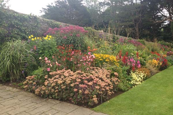 Hot border. Herbaceous border filled with bright reds, pinks, oranges and yellows throughout the season; from tulips and peonies in early summer to bright dahlias and penstemons later in the season. Barbara Kelso
