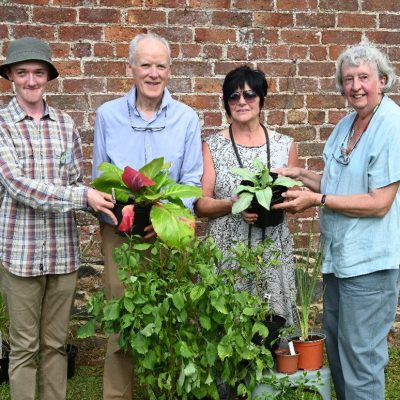 Helens Bay plant sale