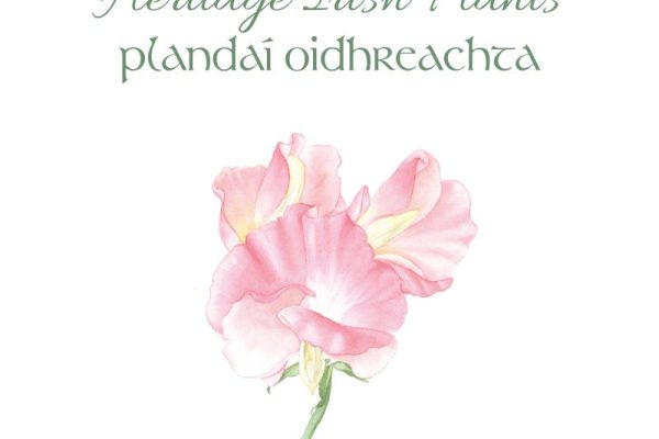 Heritae Irish Plants Publication Brochure 1