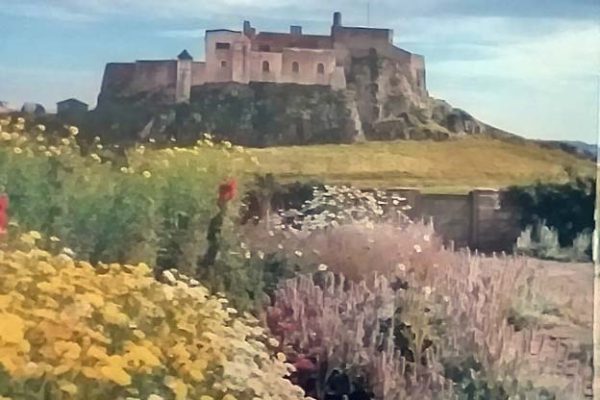 ISLAND GARDENS - LINDISFARNE CASTLE, HOLY ISLAND, NORTHUMBERLAND (1)