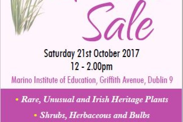 LEINSTER PLANT SALE 2017