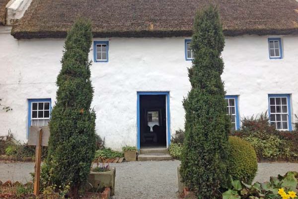 The Rectory with a pair of Irish junipers either side of the central path.