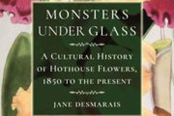 Monsters under Glass