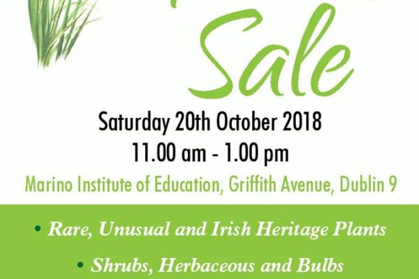 Plant Fair Leinster 2018