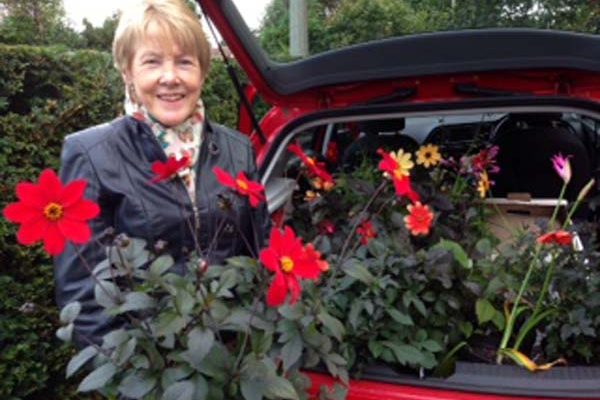 rowallane-plant-fair-2016-3