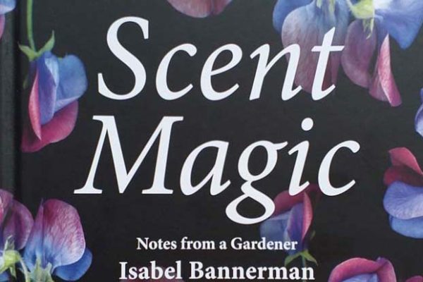 SCENT MAGIC COVER featured image