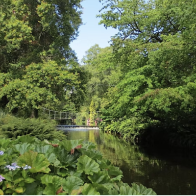 Mount Usher Garden