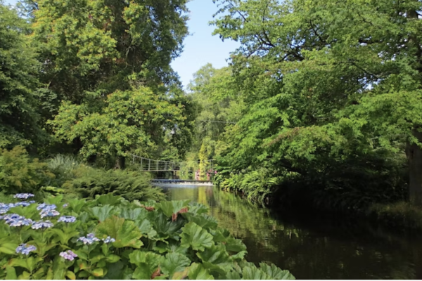 Mount Usher Garden