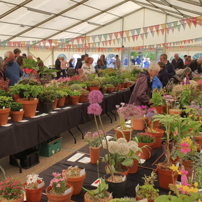 AGS plant fair 2022