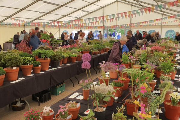 AGS plant fair 2022