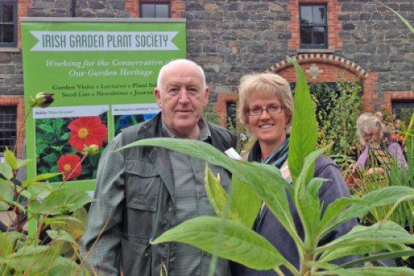 A great day at the IGPS Plant Sale at Rowallane - with Billy McCone and Barbara Kelso (Plant Sale Organiser) at the stall and ready for action.
And, by all accounts, there was great action with good weather, a good attendance and big sales.