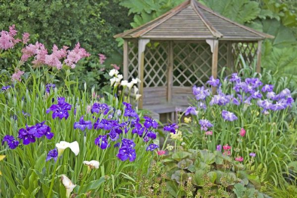 The Bay Garden photo