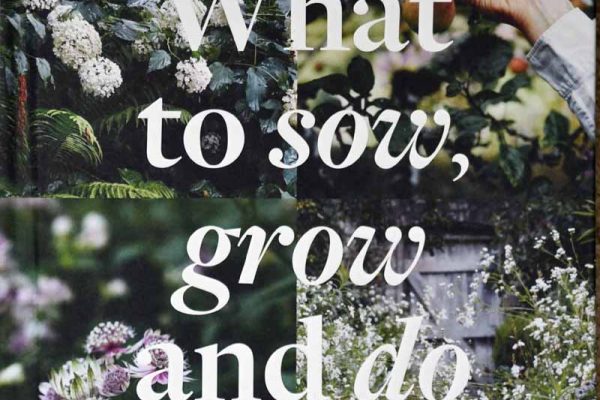 What to sow, grow and do (1)