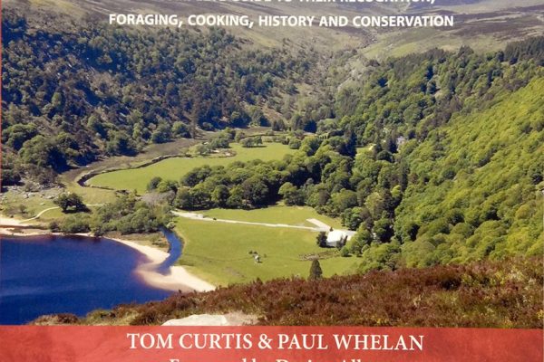 Wild food plants of ireland Curtis and Whelan (1)