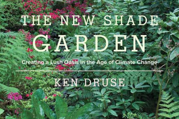 the new shade gardens